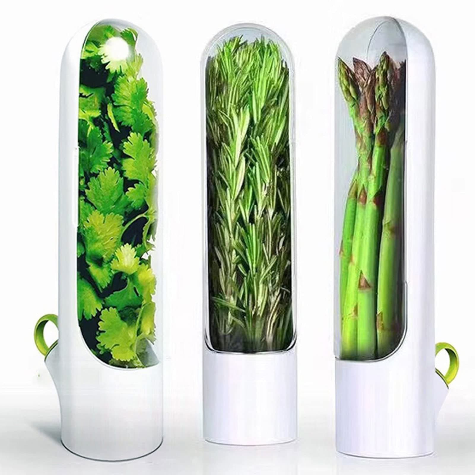 Capsule de stockage et conservation d'herbes